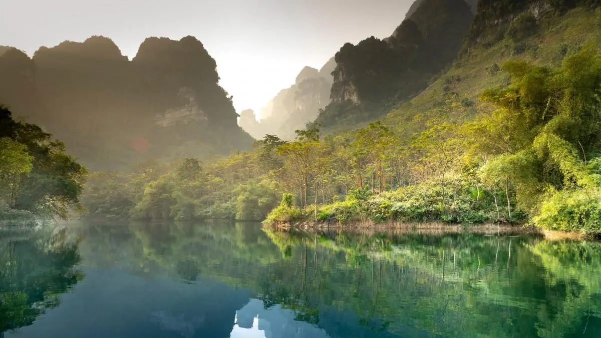 绿色高标准绿色